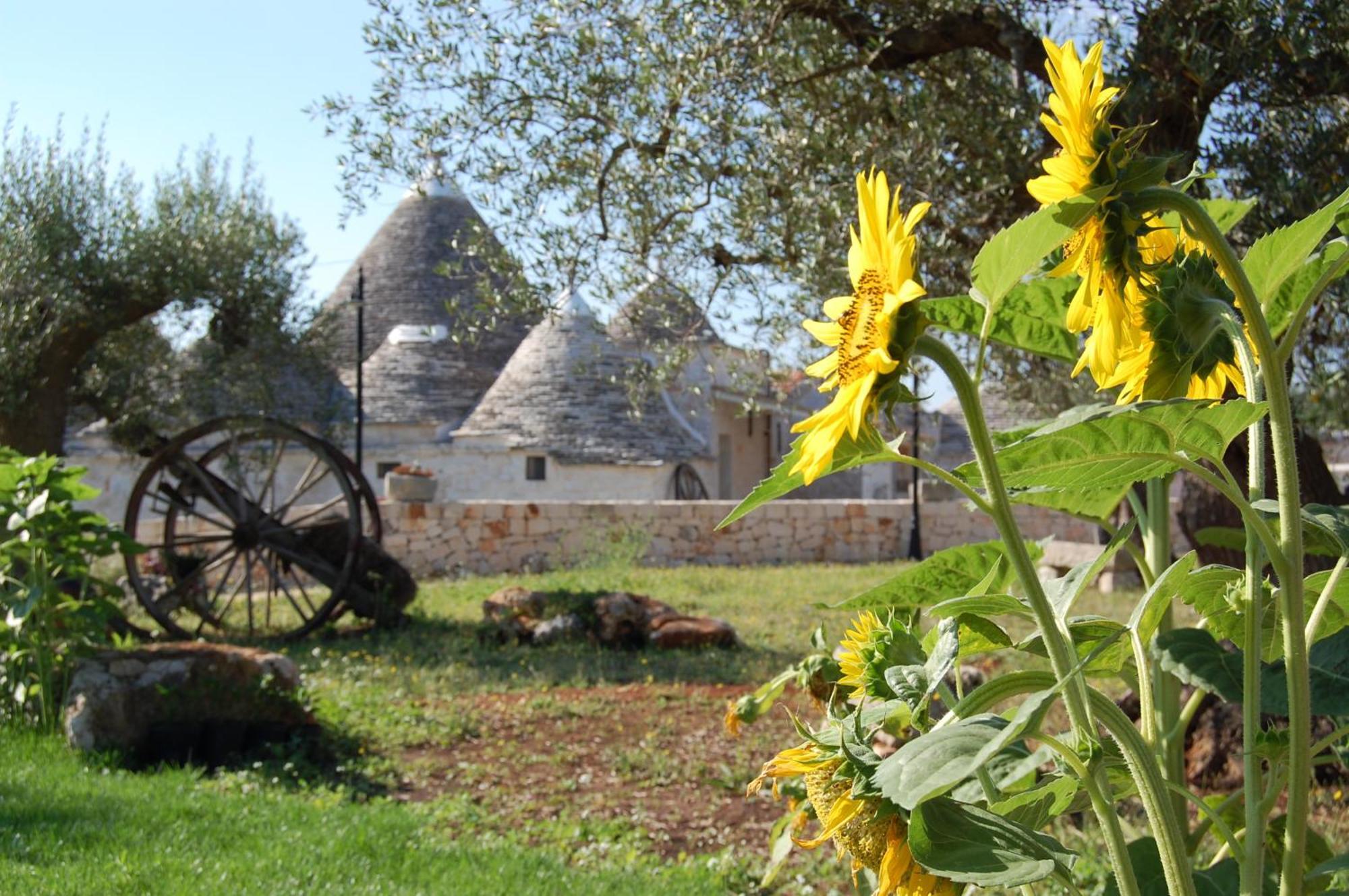 Il Gabellota Resort Alberobello Exterior foto