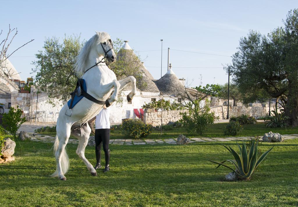 Il Gabellota Resort Alberobello Exterior foto